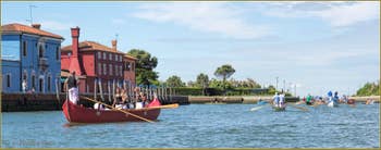 Vogalonga Venise : Le long de l'île de Mazzorbo