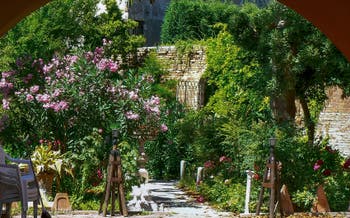 Jardins et lauriers roses sur l'île de Murano à Venise