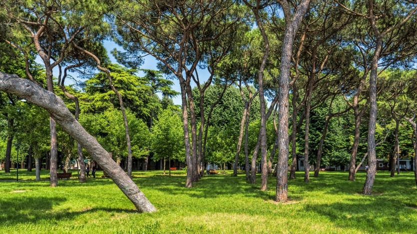 Location Jardin d'Elena à Venise, le parc de Sant' Elena