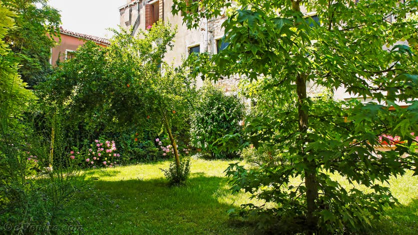 Location Jardin Lorenzo Lion à Venise, vue sur le jardin voisin de l'appartement