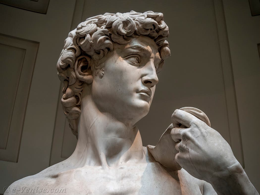 MichelAnge David Sculpture Galerie Accademia Florence