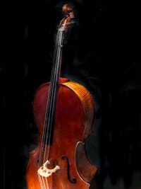Antonio Stradivarius, Violoncelle du Quintet Médicis fabriqué à Cremone pour le Grand Duc Ferdinand en 1690, Musée des instruments musicaux de la Galerie de l'Accademia à Florence Italie