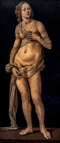 Lorenzo di Credi, Vénus, 1490, à la Galerie des Offices, les Uffizi à Florence en Italie
