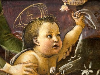 Sandro Botticelli, la Vierge du Pavillon, Vierge à l'Enfant et trois anges, pinacothèque Ambrosiana à Milan en Italie