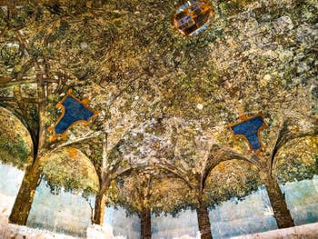 Léonard de Vinci, Fresques de la Salle de l'Axe ou Sala delle Asse du Château Sforza à Milan en Italie