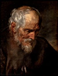 Van Dyck, Portrait d'un Vieil Homme, musée Capodimonte à Naples en Italie
