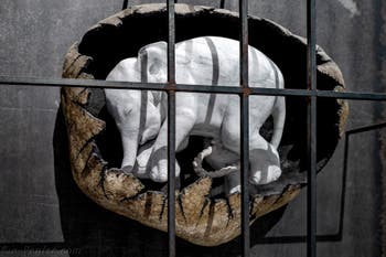 Jago, Airavata, musée Jago à Naples en Italie