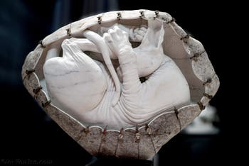 Jago, Sphynx, musée Jago à Naples en Italie