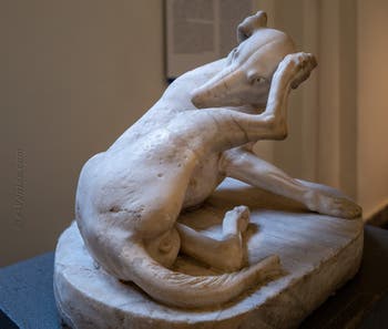 Chien faisant sa toilette, Collection Farnèse, musée archéologique de Naples en Italie