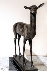 Faon, Villa des Papyrus, Herculanum, musée archéologique de Naples en Italie