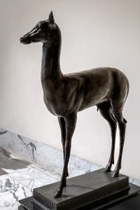 Faon, Villa des Papyrus, Herculanum, musée archéologique de Naples en Italie