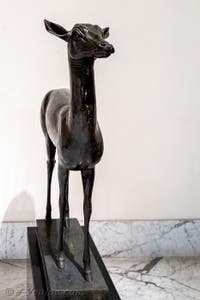 Faon, Villa des Papyrus, Herculanum, musée archéologique de Naples en Italie