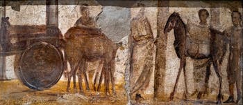 Fresque Char avec des mulets, Pompéi, Praedia di Giulia Felice, Musée Archéologique de Naples