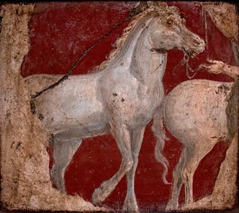 Fresque Deux chevaux tenus en bride, Stabiae, Villa di Arianna, Musée Archéologique de Naples