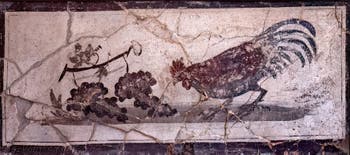 Fresque Coq picorant des raisins, Herculanum, Casa dei Cervi, Musée Archéologique de Naples