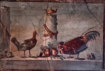Fresque Poule et coq dans un temple, Herculanum, Musée Archéologique de Naples
