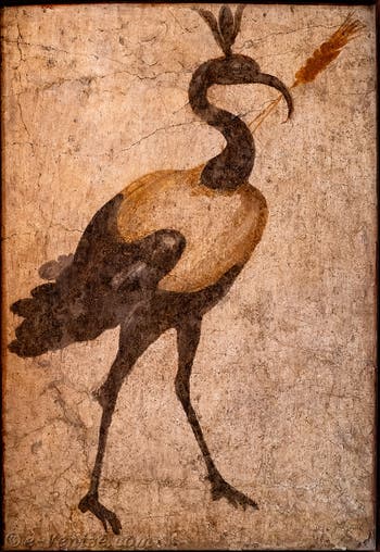 Fresque Ibis sacré du Nil, Pompei, Temple d'Isis, Sacrarium, Musée Archéologique de Naples
