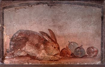 Fresque Lapin et Figues, Pompéi, Musée Archéologique de Naples