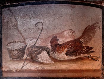 Fresque Poulet, poule et paniers, Pompéi, Musée Archéologique de Naples