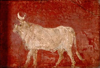 Fresque Taureau Apis, Pompei, Musée Archéologique de Naples