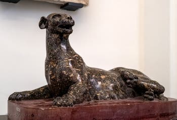 Panthère couchée pour allaiter, musée archéologique de Naples en Italie