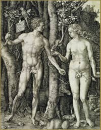 Albrecht Dürer - Adam et Eve 1504.
