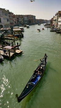 Gondole passant sous le pont du Rialto sur le Grand Canal de Venise
