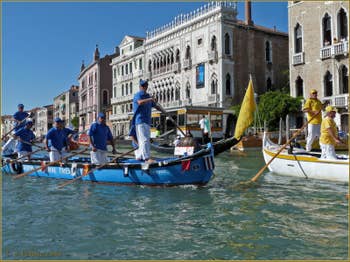 Regata Storica de Venise, le Cortège sportif