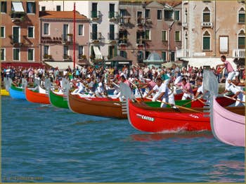 Régate Historique de Venise, régate amateur de gondoles à 4 rameurs
