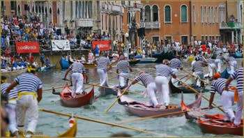 Regata Storica à Venise : Course de Gondolini à 2 rameurs