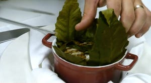 Noix de Saint-Jacques et Cèpes en Cocotte dans un nid de feuilles de Châtaigner