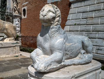 Molossus from the Acropolis of Athens in front of the entrance to the Venice Arsenal