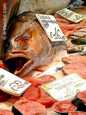 Le Thon frais débité en tranches rouges