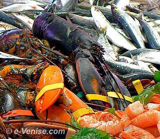 Homards et Sardines les couleurs de la Pescheria