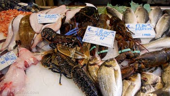 Der Rialto-Fischmarkt, die Pescheria in Venedig