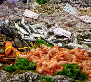 Der Rialto-Fischmarkt, die Pescheria in Venedig
